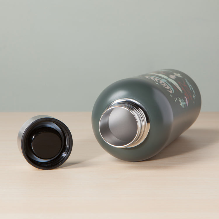 Far And Away Water Bottle