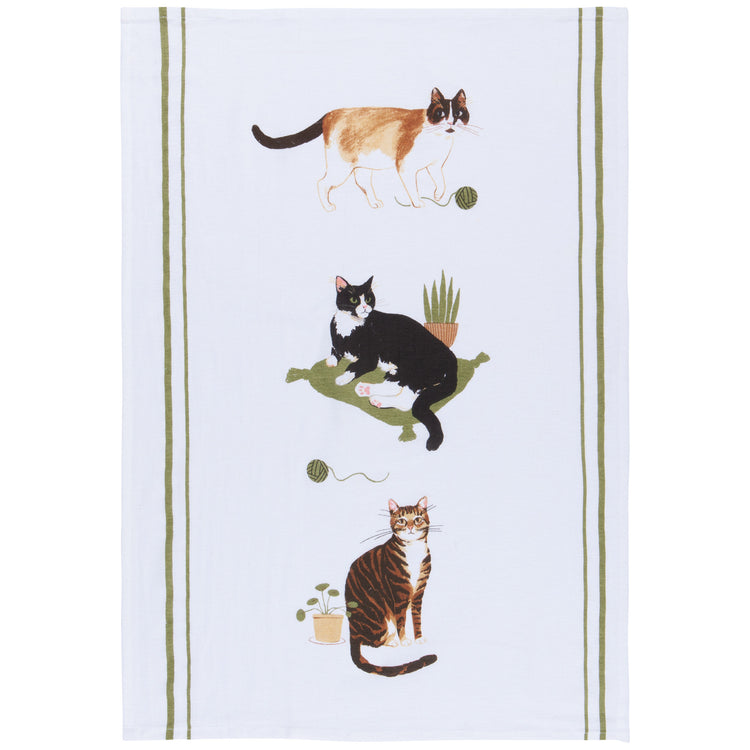 Cat Collective Baker's Floursack Dishtowels Set of 3