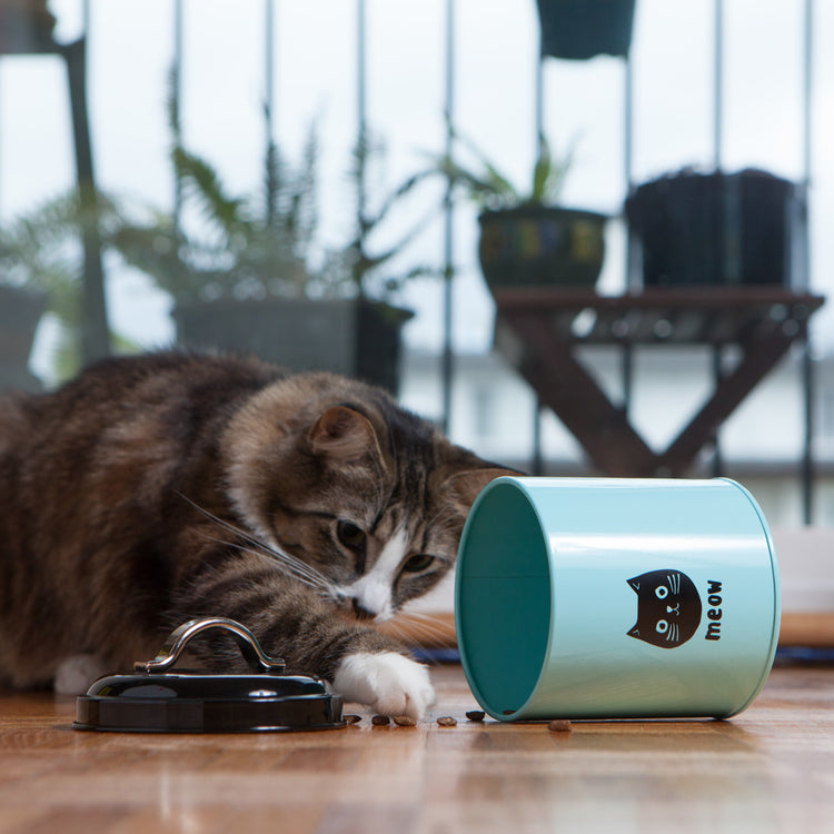 Cats Meow Cat Treat Tin With Lid