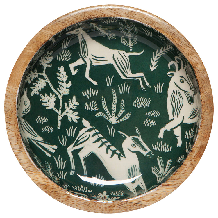 Boundless Mango Wood Shallow Bowl