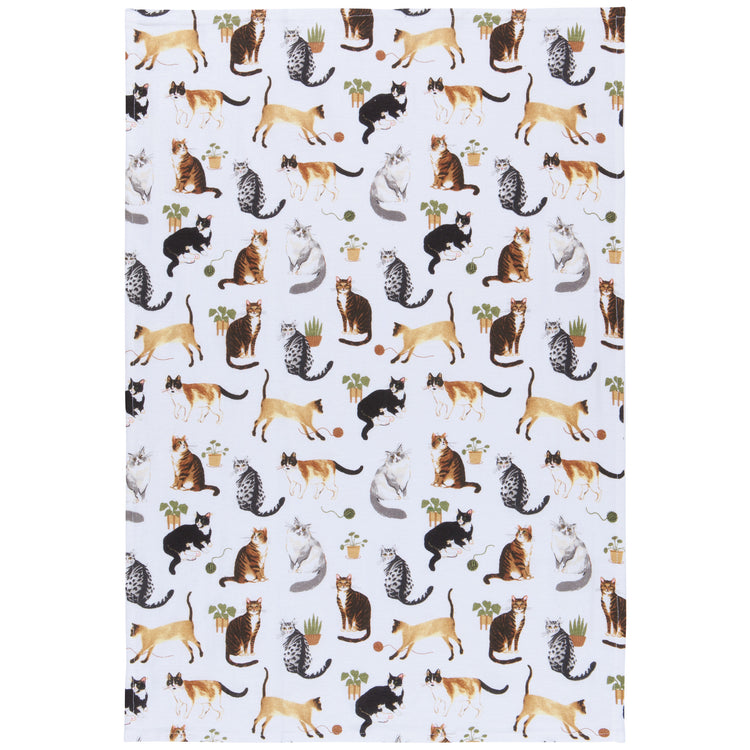 Cat Collective Baker's Floursack Dishtowels Set of 3
