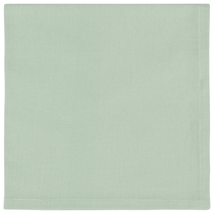 Spectrum Napkins Aloe Green Set of 4