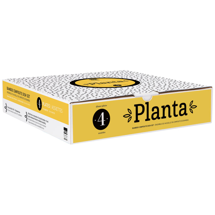 Fiesta Planta Dinner Plates Set of 4