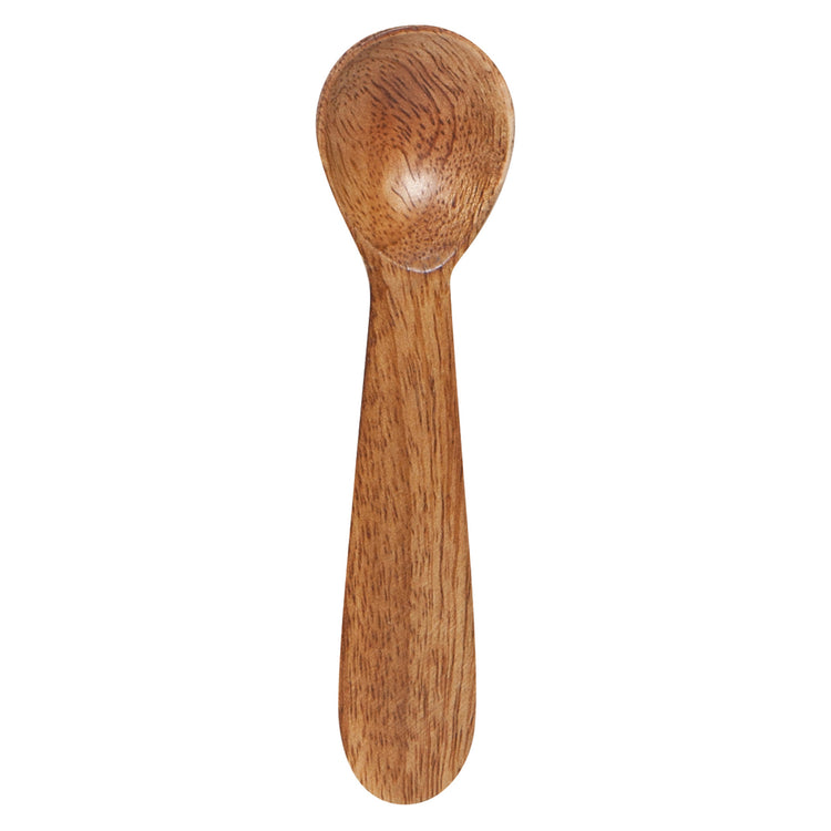 Mango Wood Mini Spoons Set of 4