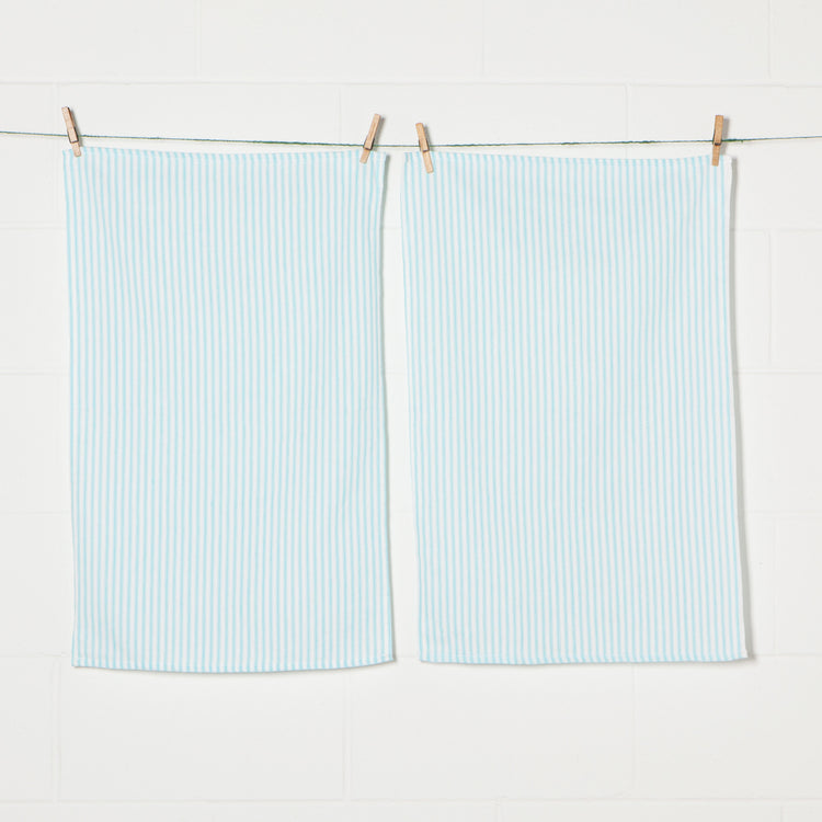 Glass Bali Blue Dishtowels Set of 2