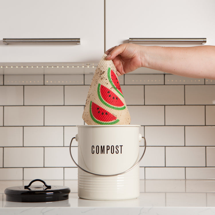 Watermelon Swedish Sponge Cloth