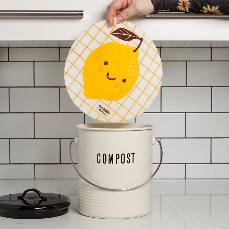 Fruit Face Lemon Round Sponge Cloth