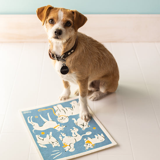 Consumers Rave About Swedish Dishcloths!