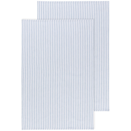 Slate Blue Glass Dishtowels Set of 2