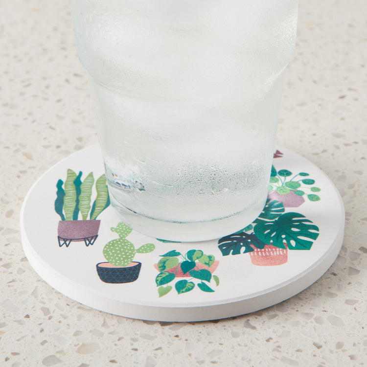Let It Grow Soak Up Coasters Set of 4
