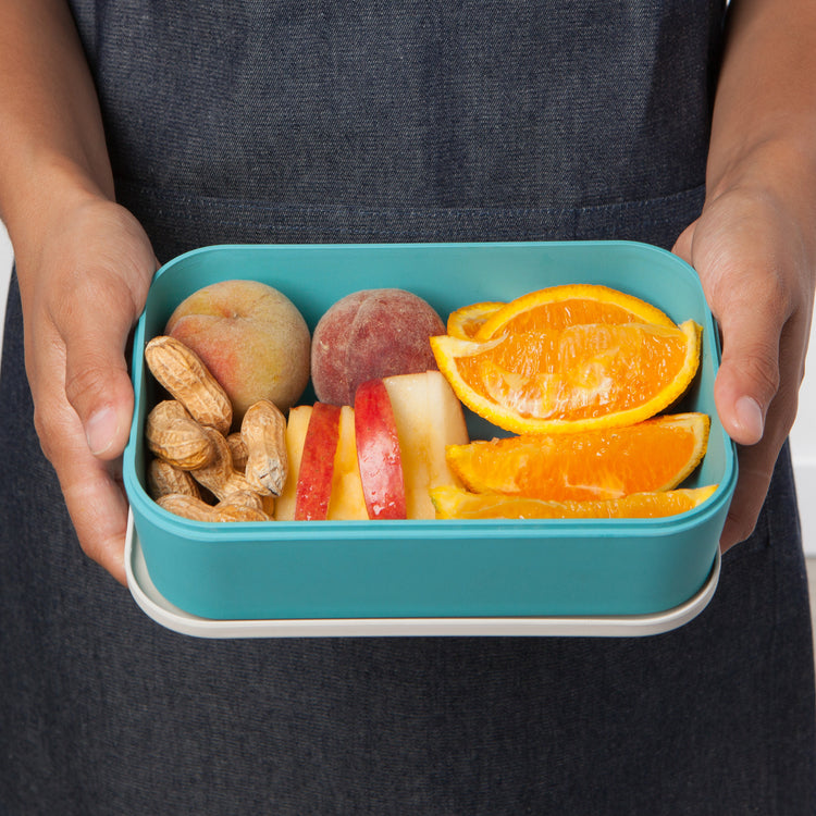 Dandy Dinos Bento Box